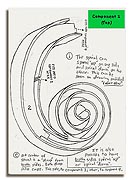 Perplexus drawing component 2