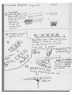 New Revised Perplexus